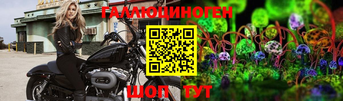 Псилоцибиновые грибы мухоморы Красноярск
